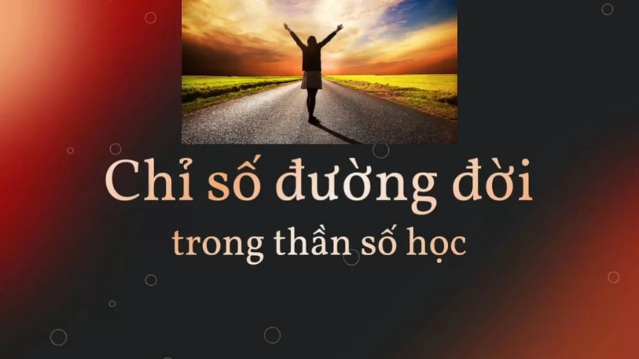 chỉ số đường đời