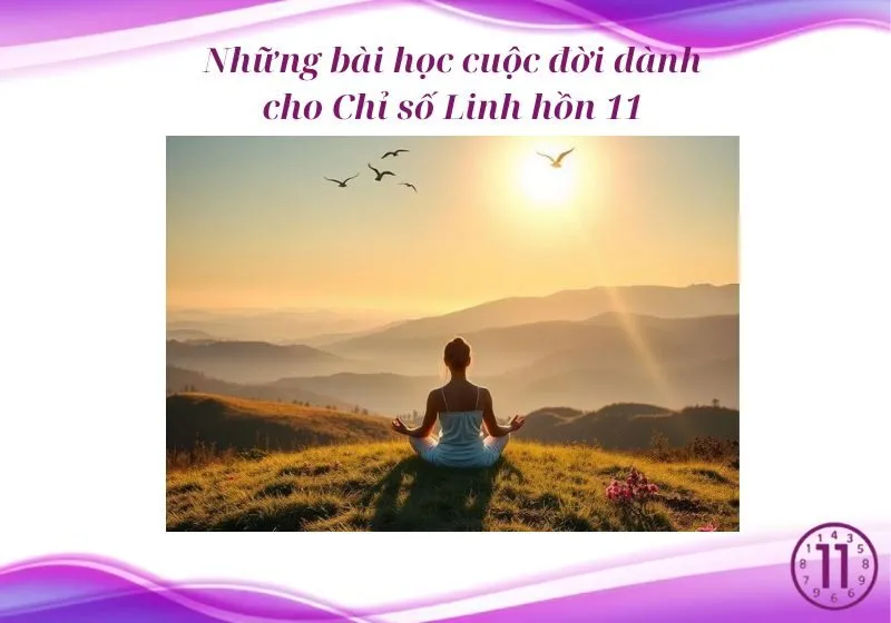 chỉ số linh hồn 11/2 