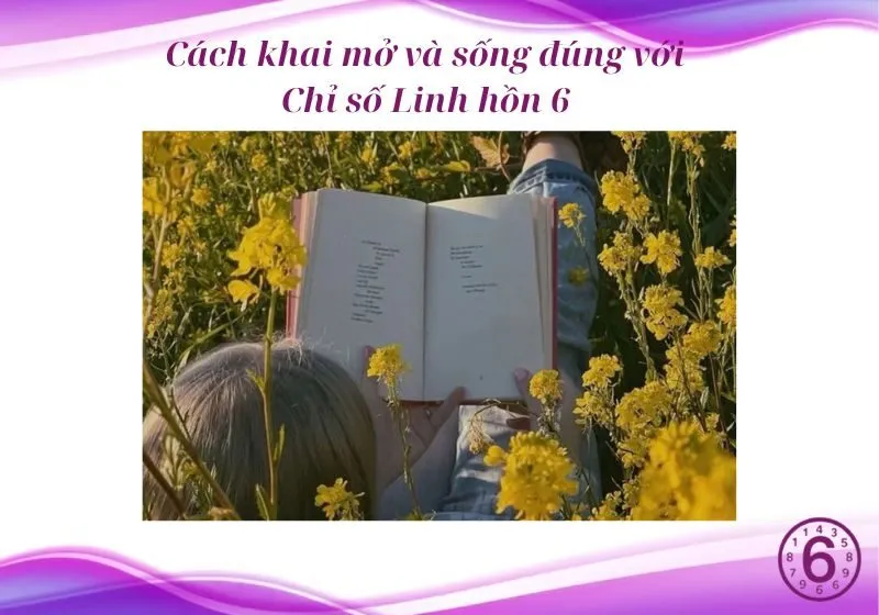 chỉ số linh hồn 6 trong thần số học 