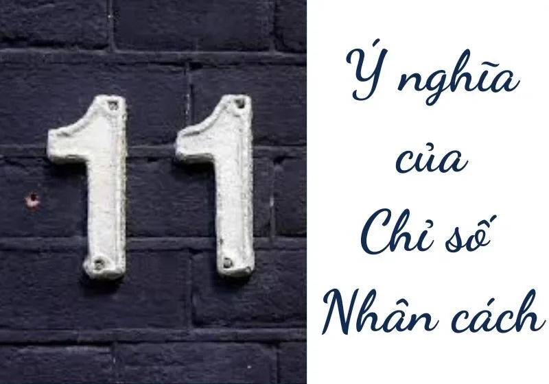 chỉ số nhân cách 11/2