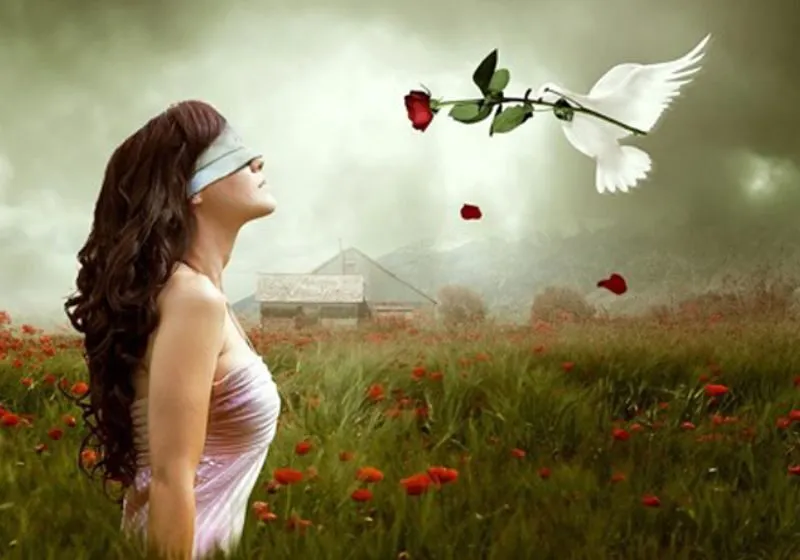 chỉ số sứ mệnh 11/2 