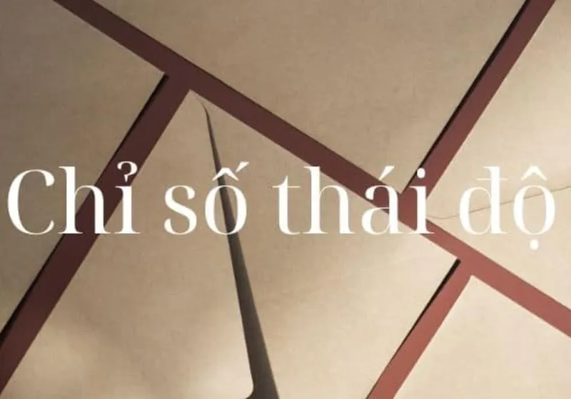 Chỉ Số Thái Độ Là Gì?