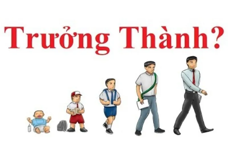 số trưởng thành