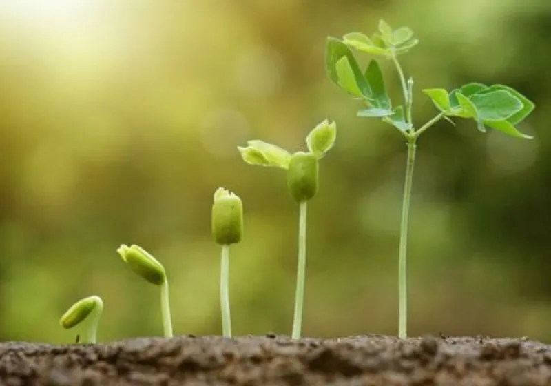 Cách tính chỉ số vượt khó