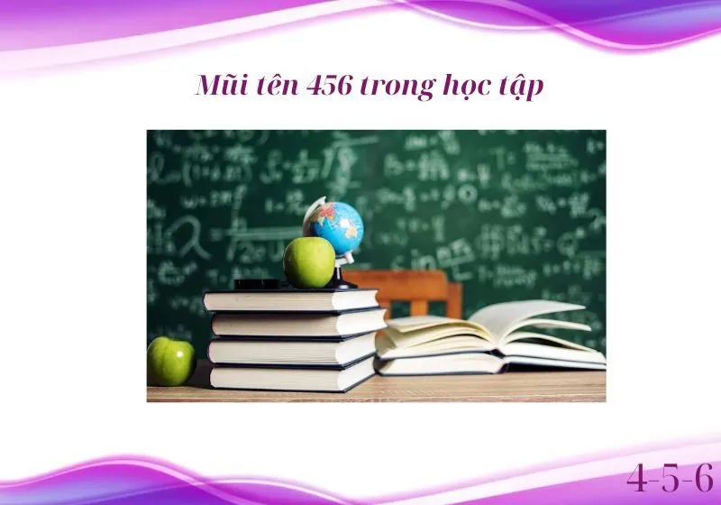 trống mũi tên 456 