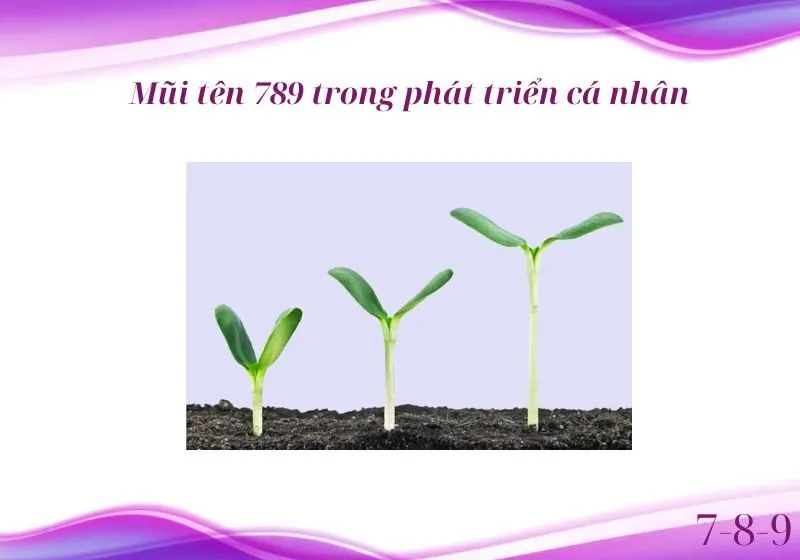 mũi tên 789 trống