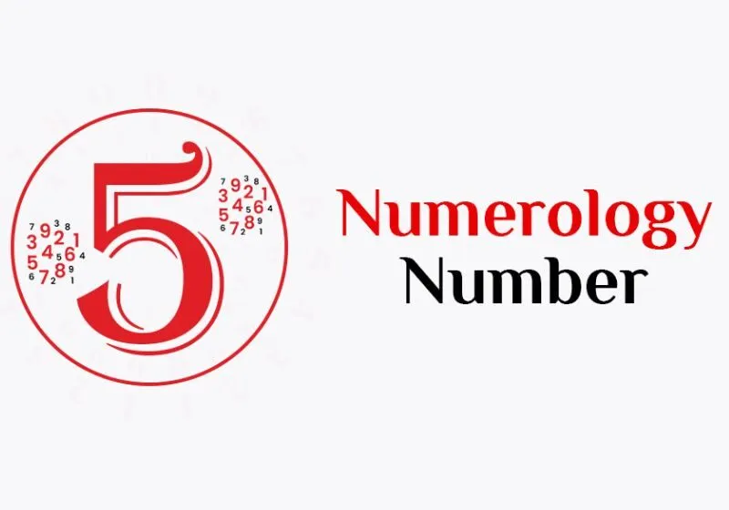 2 số 5 trong biểu đồ ngày sinh