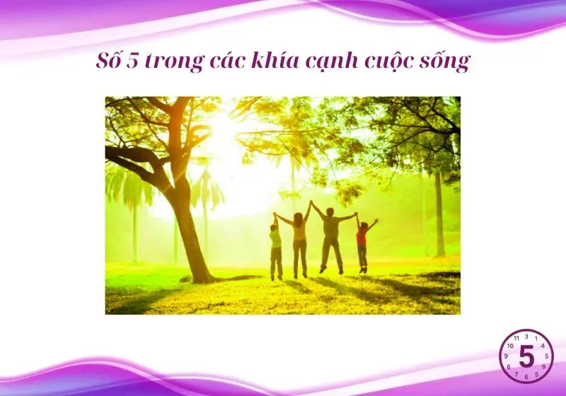 1 số 5 trong biểu đồ ngày sinh