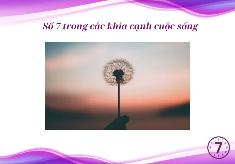 Người có 3 số 7 trong biểu đồ ngày sinh