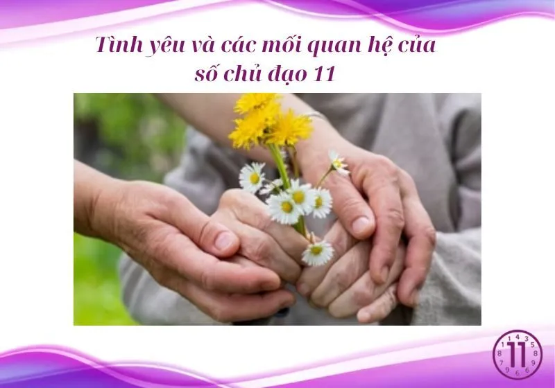 số 11 chủ đạo