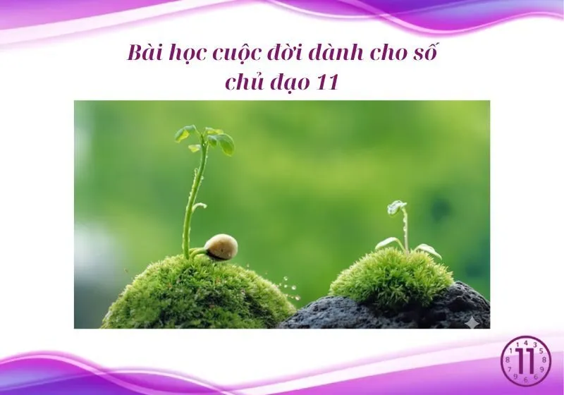 thần số học số chủ đạo 11