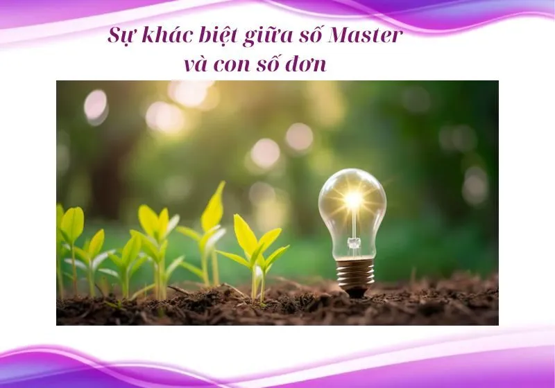 số master